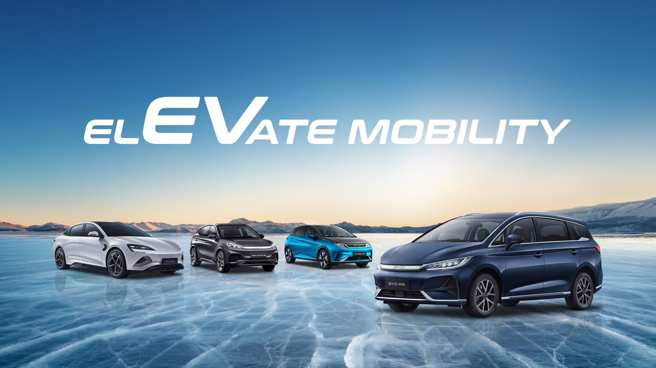 byd global